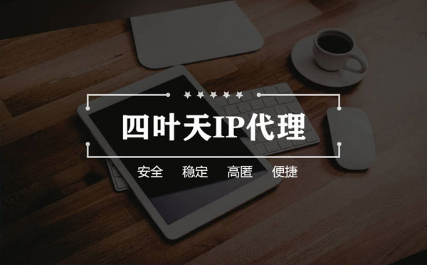 【蓬莱代理IP】如何快速搭建代理IP？怎么检查代理的效果？